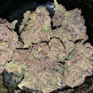 Meet your Posher, Pryce